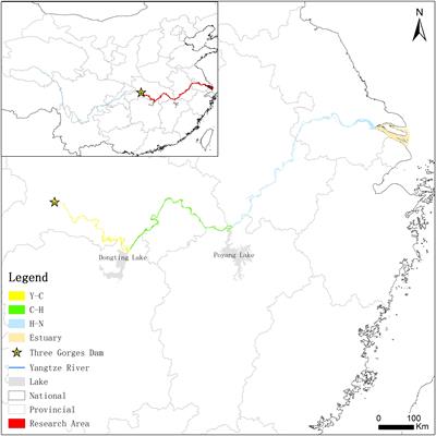 The Operation of the Three Gorges Dam Alters Wetlands in the Middle and Lower Reaches of the Yangtze River